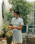 Aimee Lace Cheongsam