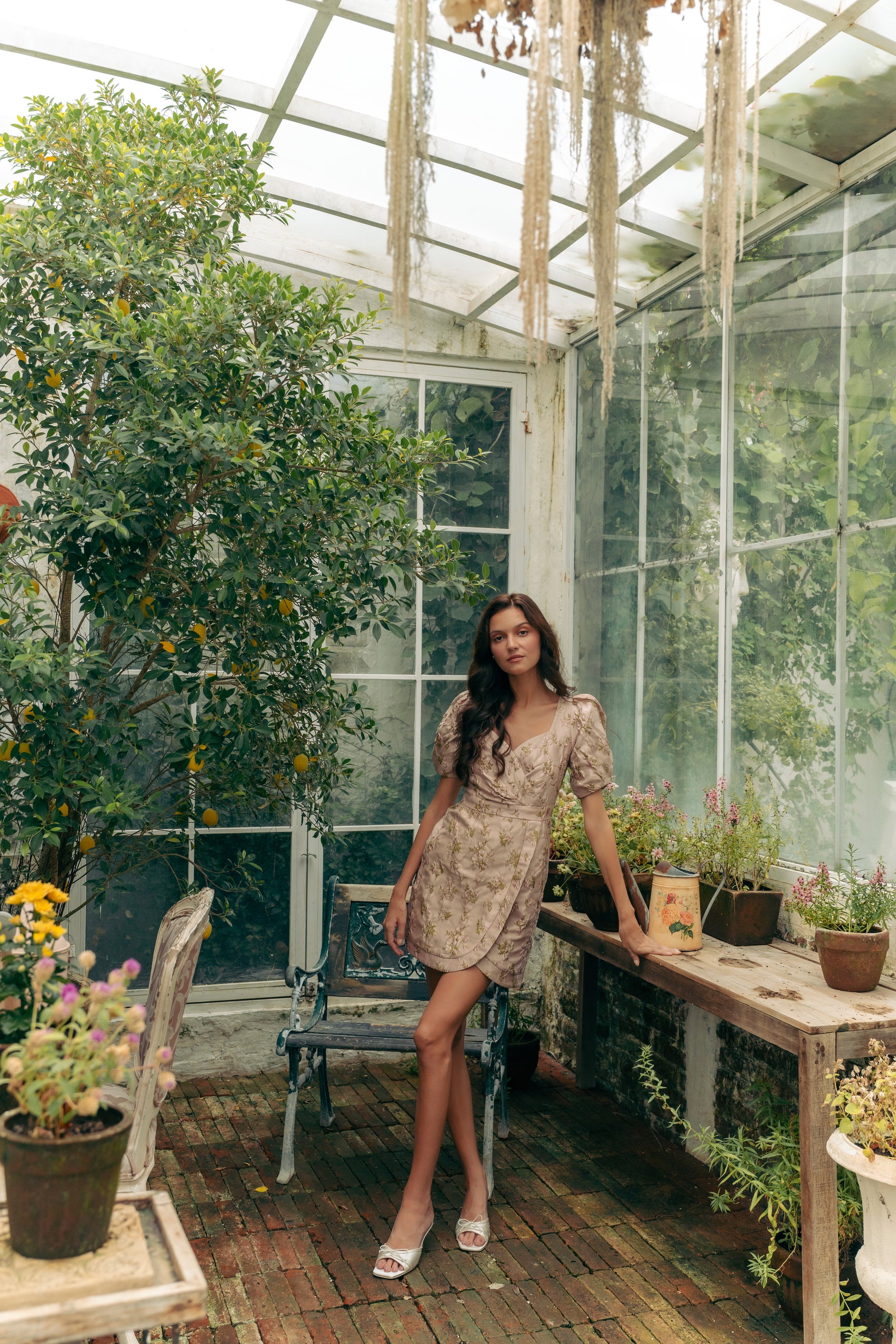 Ella Jacquard Dress
