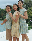 Furano Swing Dress